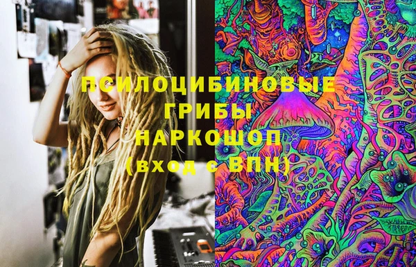 дживик Гусь-Хрустальный