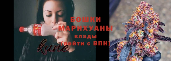 хмурый Гусев