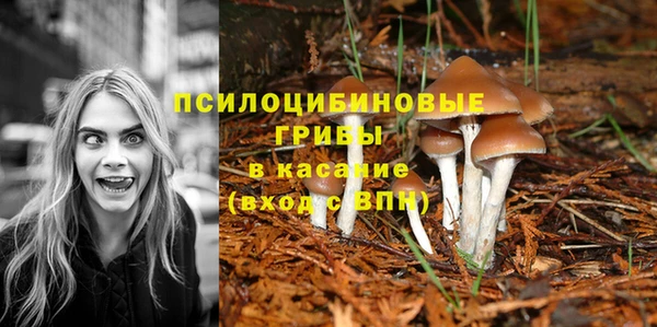 гашишное масло Гусиноозёрск