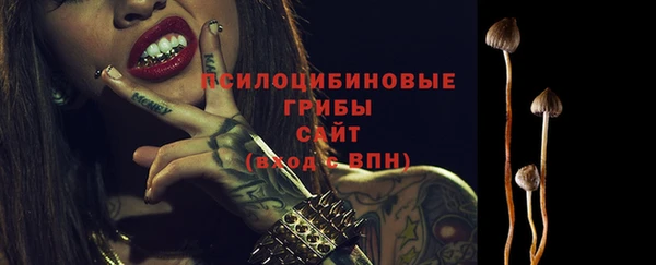 хмурый Гусев