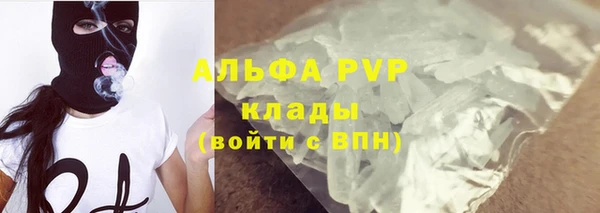 хмурый Гусев