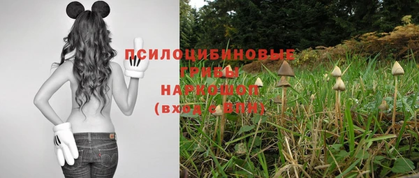 хмурый Гусев