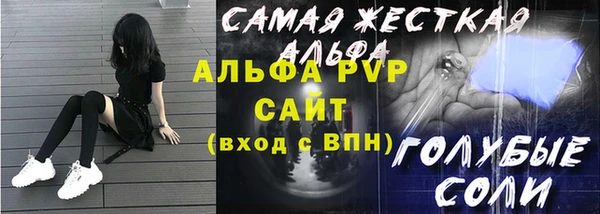 хмурый Гусев